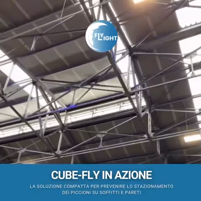 fly light cube fly_güvercin kovma_video