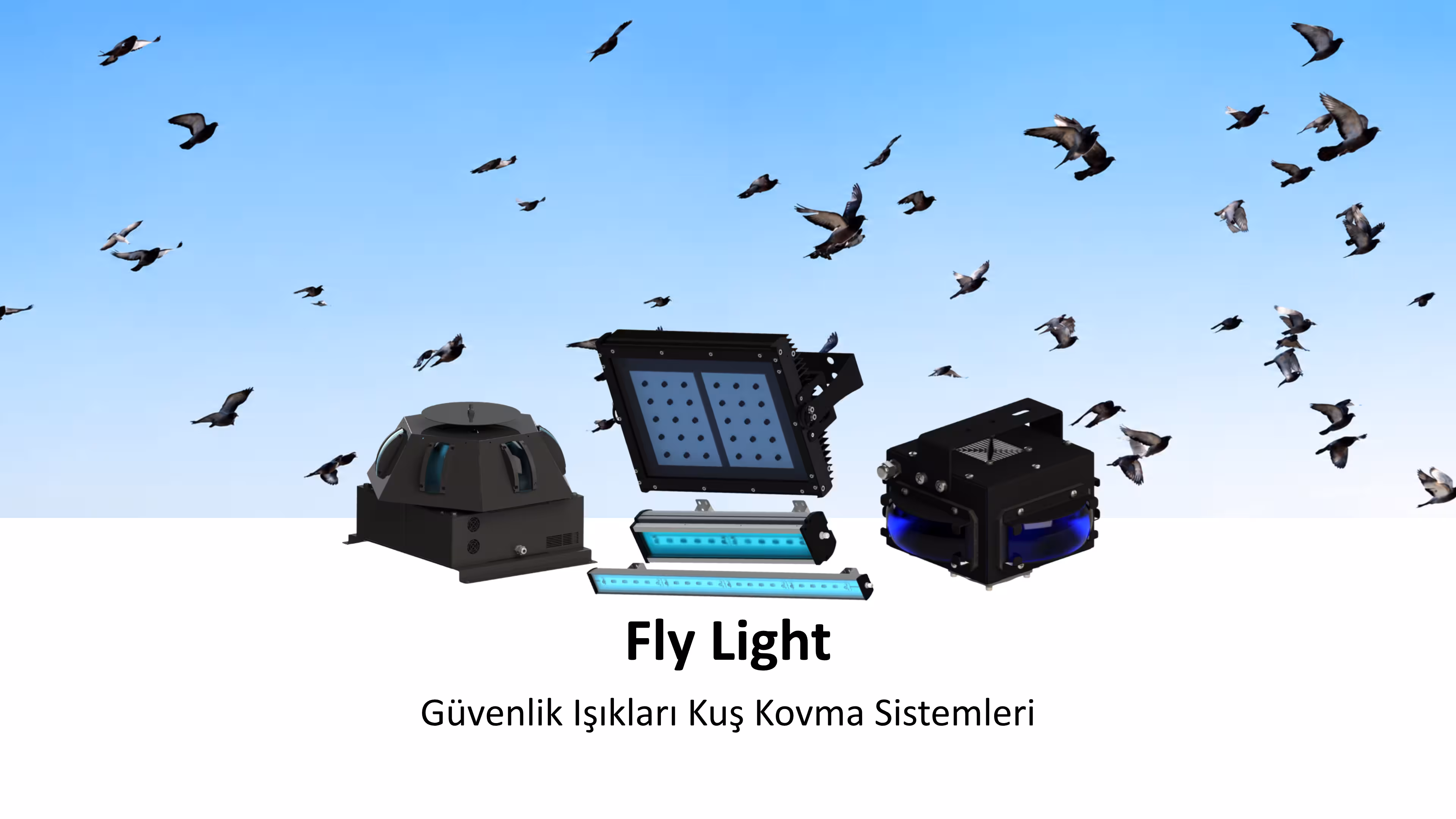 fly light slider_son
